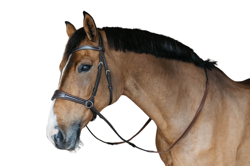 Bridon Working Motion by DYON