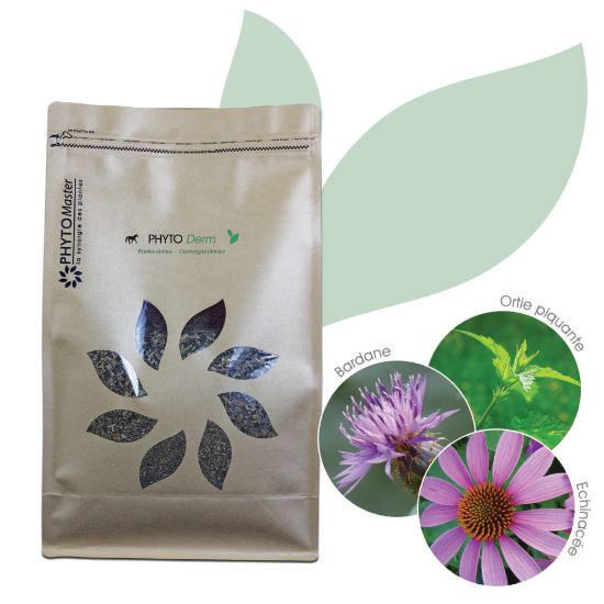 Phyto Derm 1KG by PHYTO MASTER