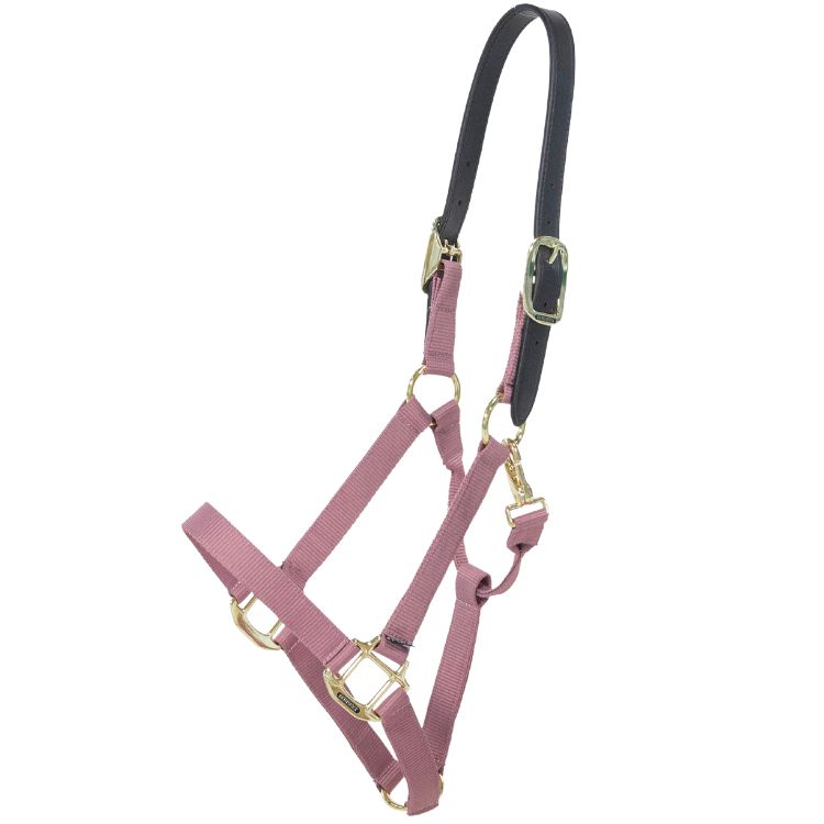 Licol nylon Breakaway full by KENTUCKY