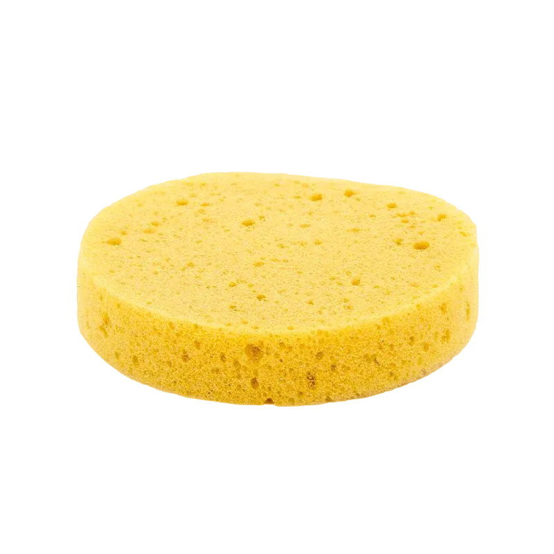 Eponge circulaire by PASKACHEVAL