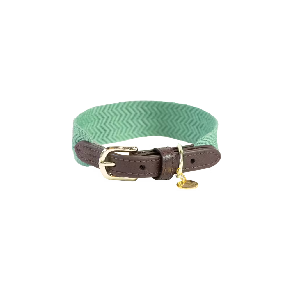Collier chien Jacquard by KENTUCKY