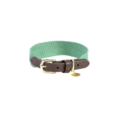 Collier chien Jacquard by KENTUCKY