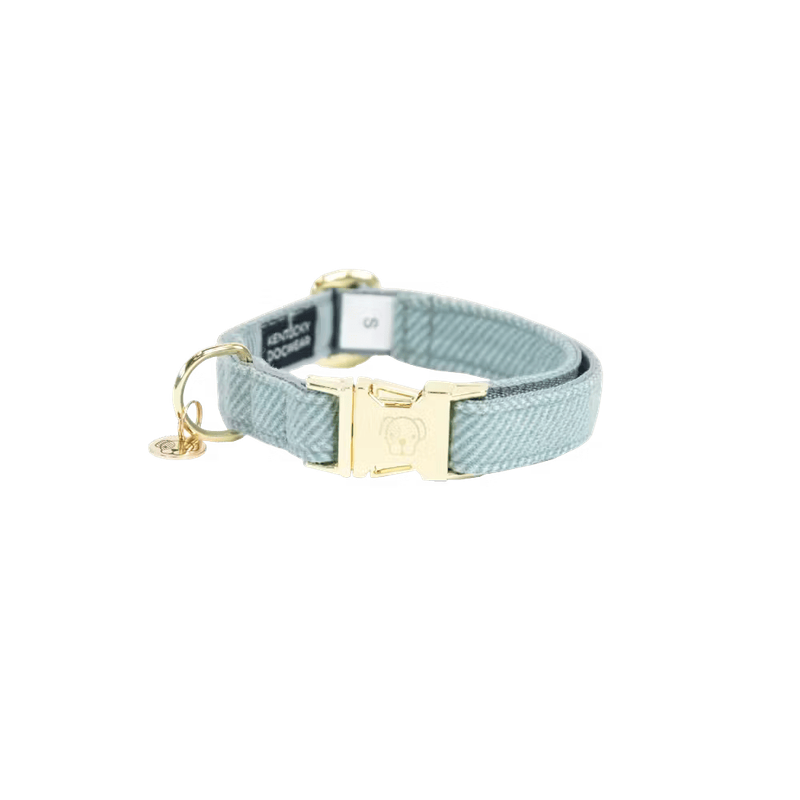 Collier chien Wool by KENTUCKY