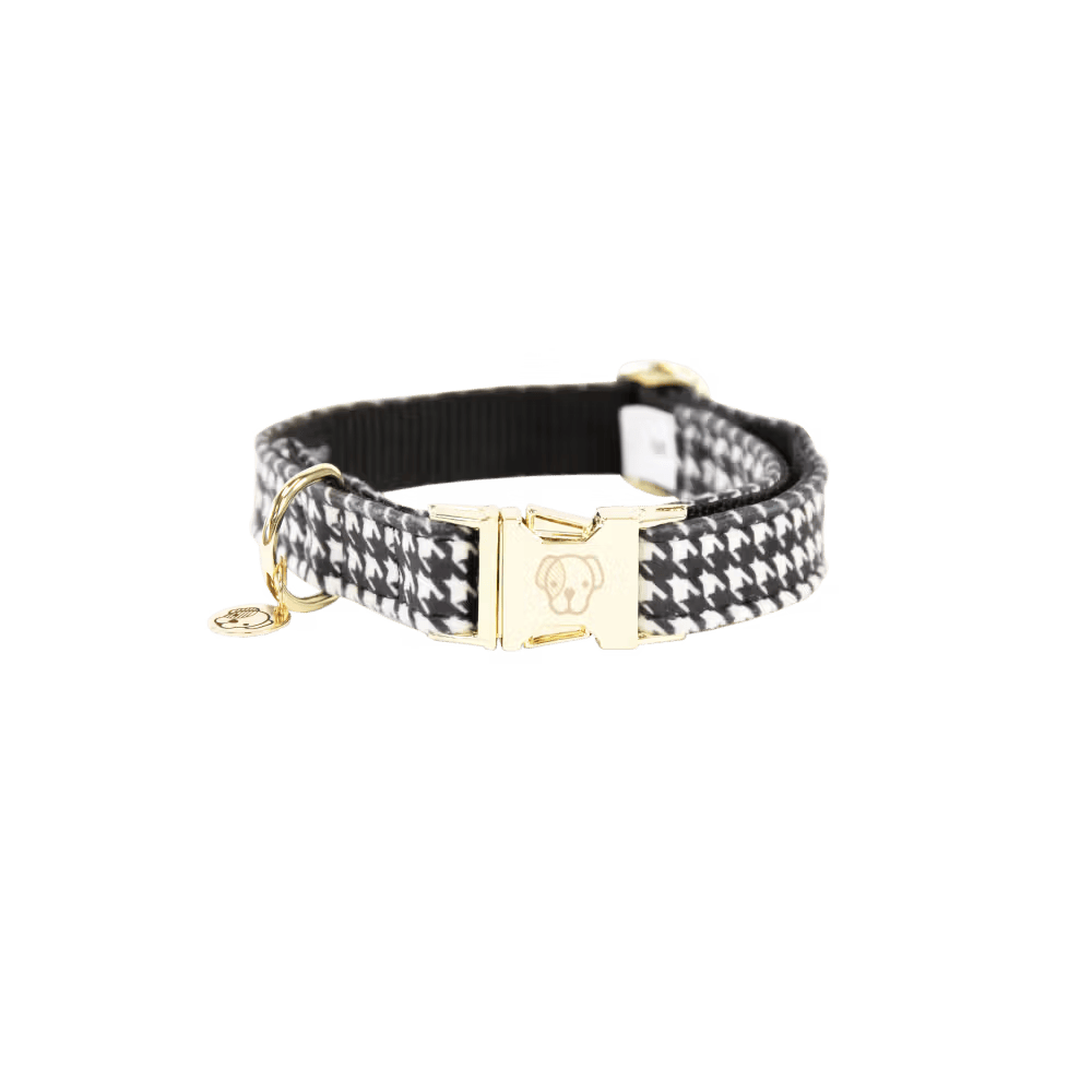 Collier chien Pied de Poule by KENTUCKY