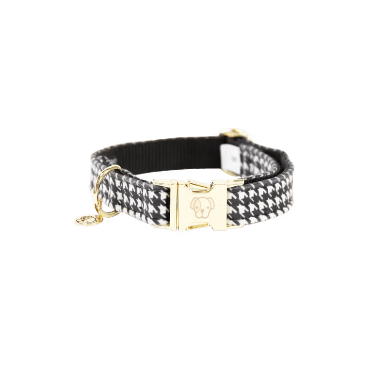 Collier chien Pied de Poule by KENTUCKY