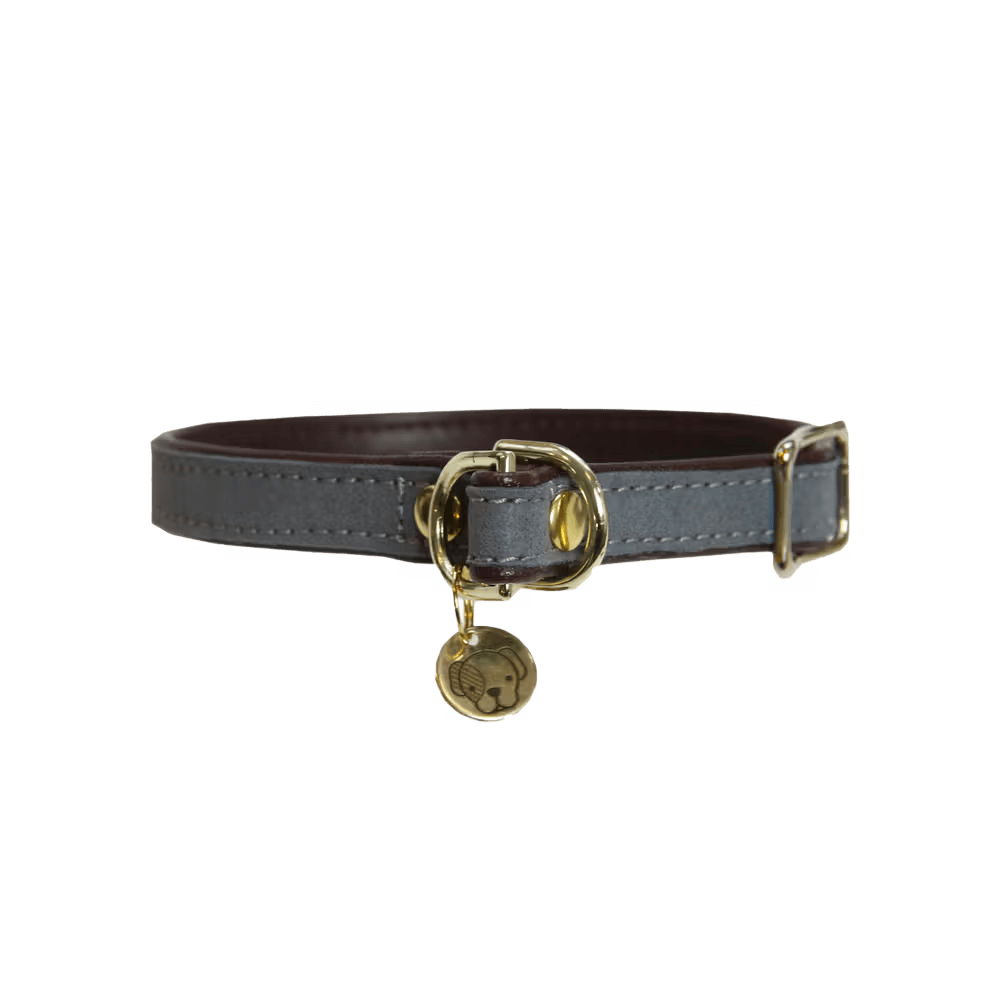 Collier chien Loop by KENTUCKY
