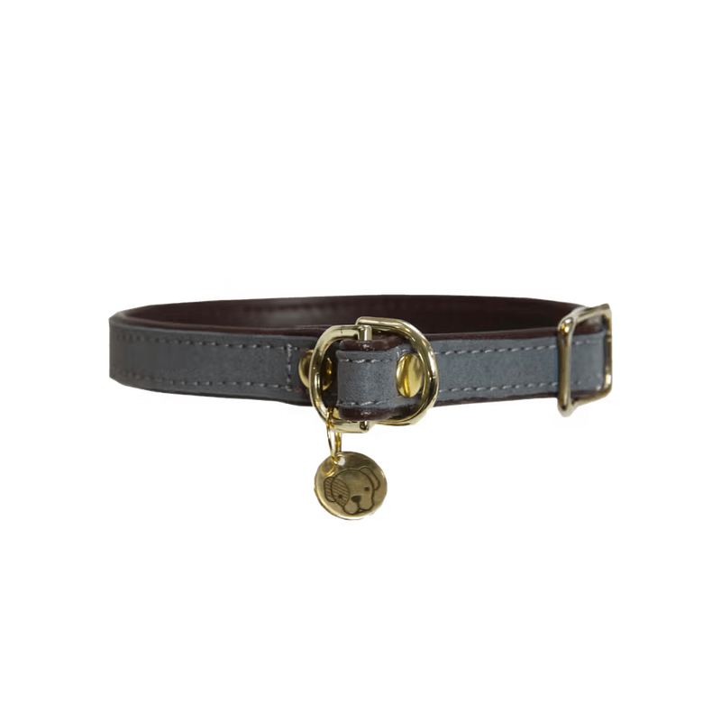 Collier chien Loop by KENTUCKY