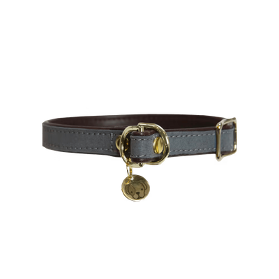 Collier chien Loop by KENTUCKY