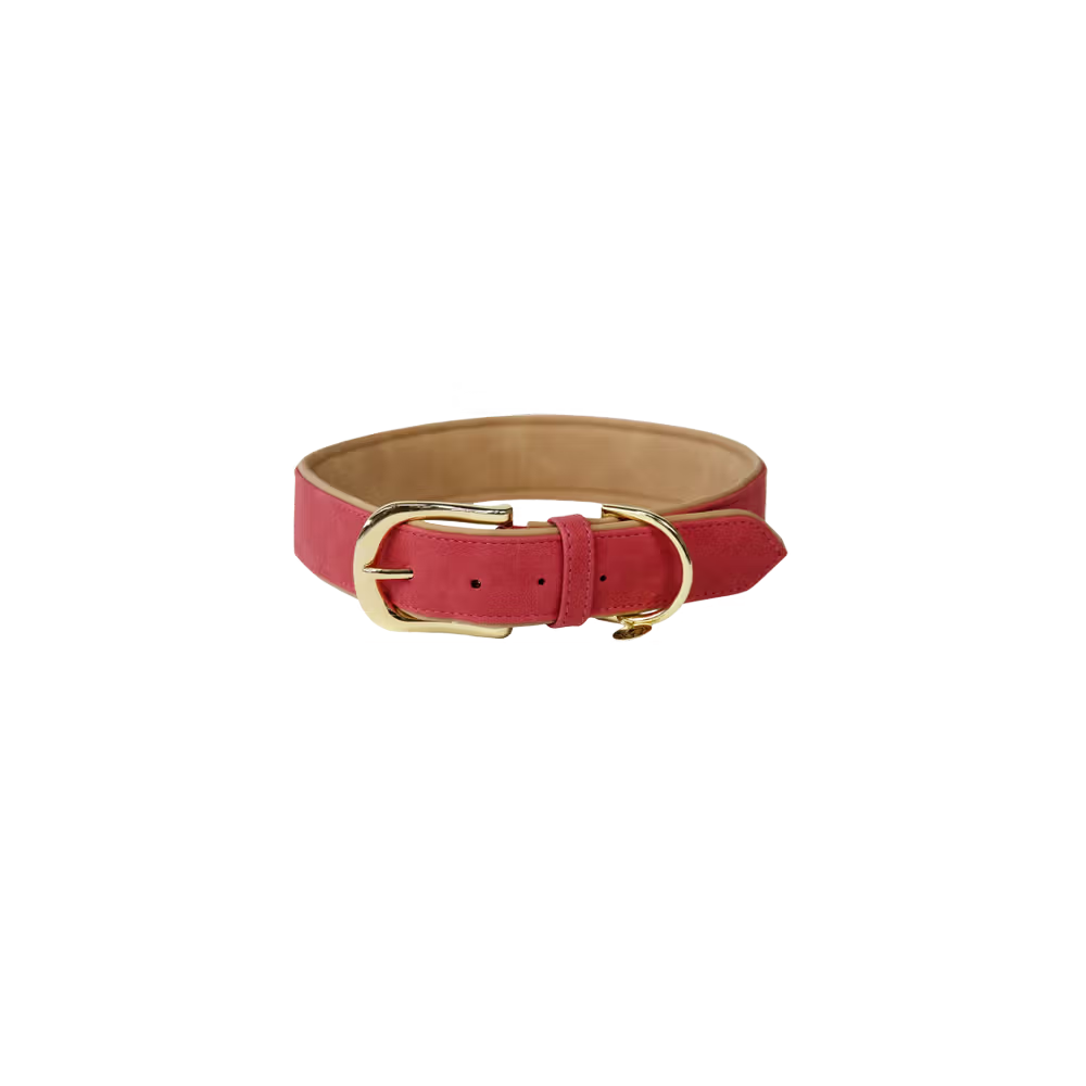 Collier chien Cuir Vegan by KENTUCKY