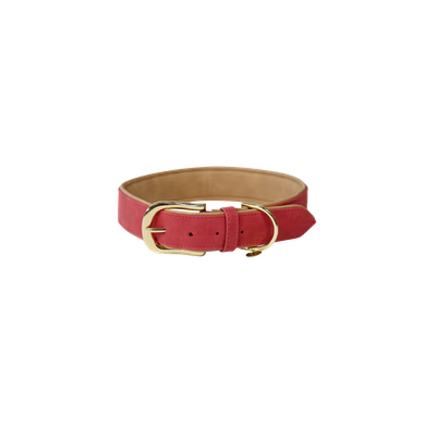 Collier chien Cuir Vegan by KENTUCKY