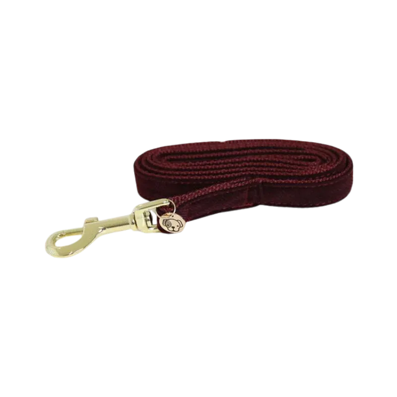 Laisse Corduroy 120cm by KENTUCKY