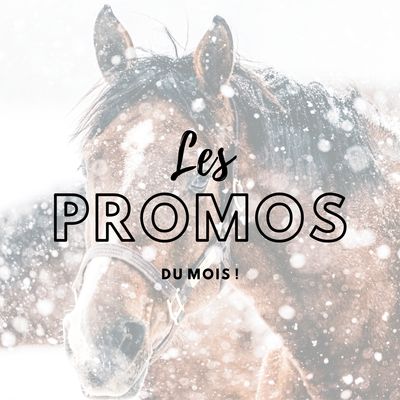 LES PROMOS DU MOIS