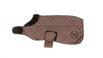 Couverture pour Chien Haze by BACK ON TARCK