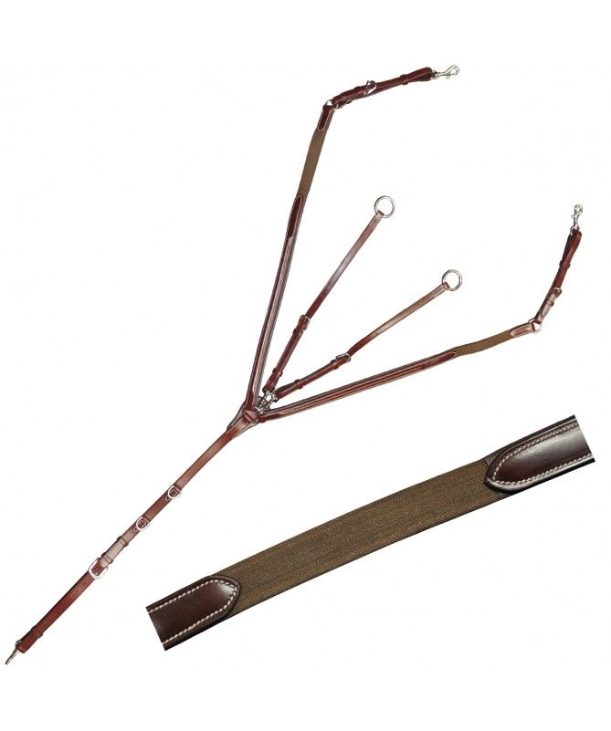 Collier de chasse Austin by Lexinton