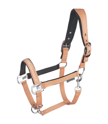 Licol Athletic by WALDHAUSEN