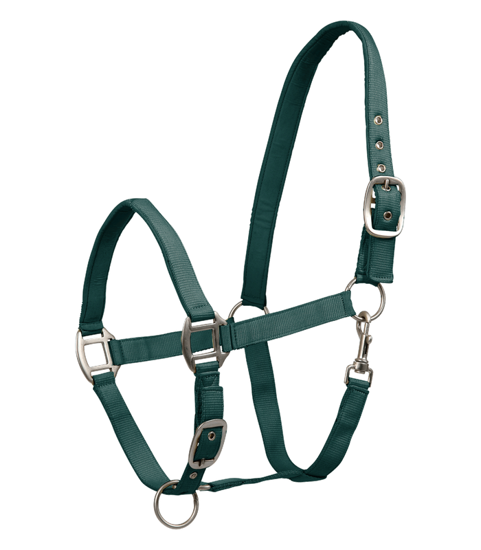 Licol Satin by WALDHAUSEN