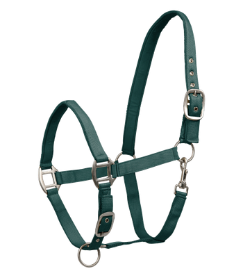 Licol Satin by WALDHAUSEN