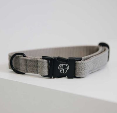 Collier chien Lizard by KENTUCKY