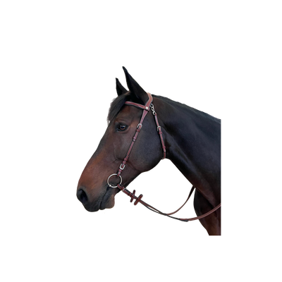 Bridon Freedom by FLAGS&amp;CUP