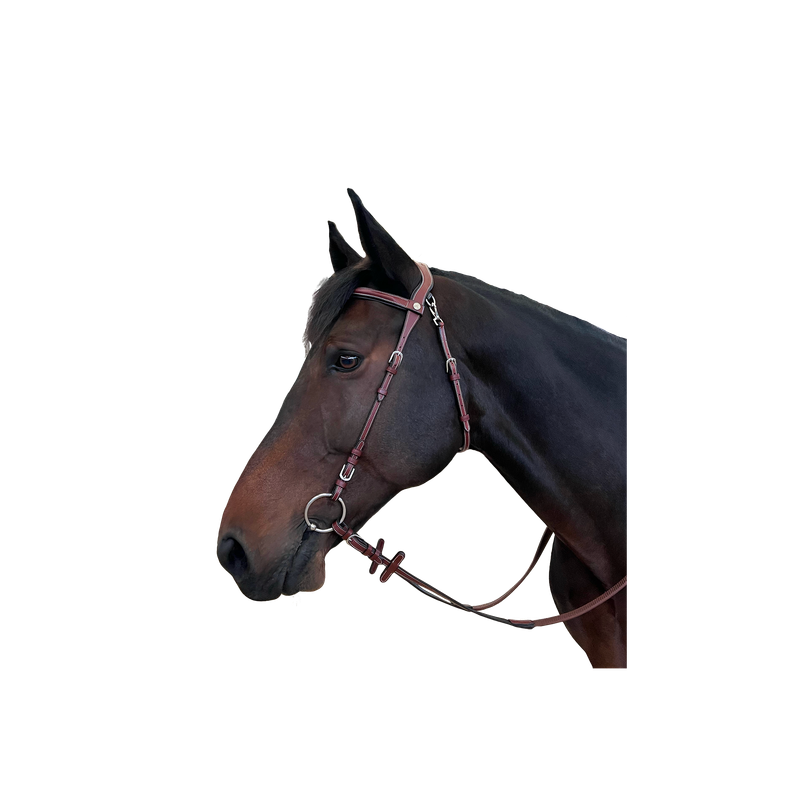 Bridon Freedom by FLAGS&amp;CUP