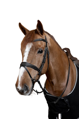 Bridon combine Padded by HFI