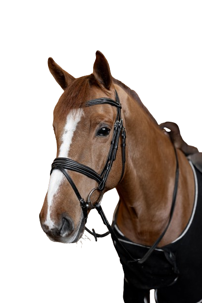 Bridon combine Padded by HFI