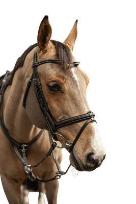 Bridon Pro Line combine Milano by HFI