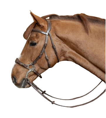 Bridon Hackamore by HFI