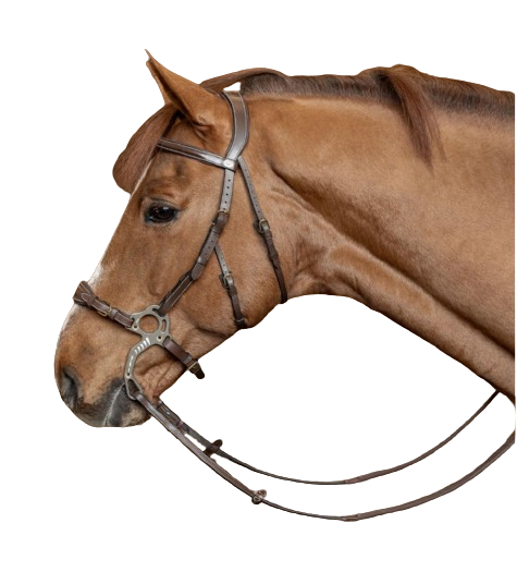 Bridon Hackamore by HFI