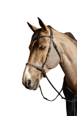 Bridon sans mors Freedoom by HFI