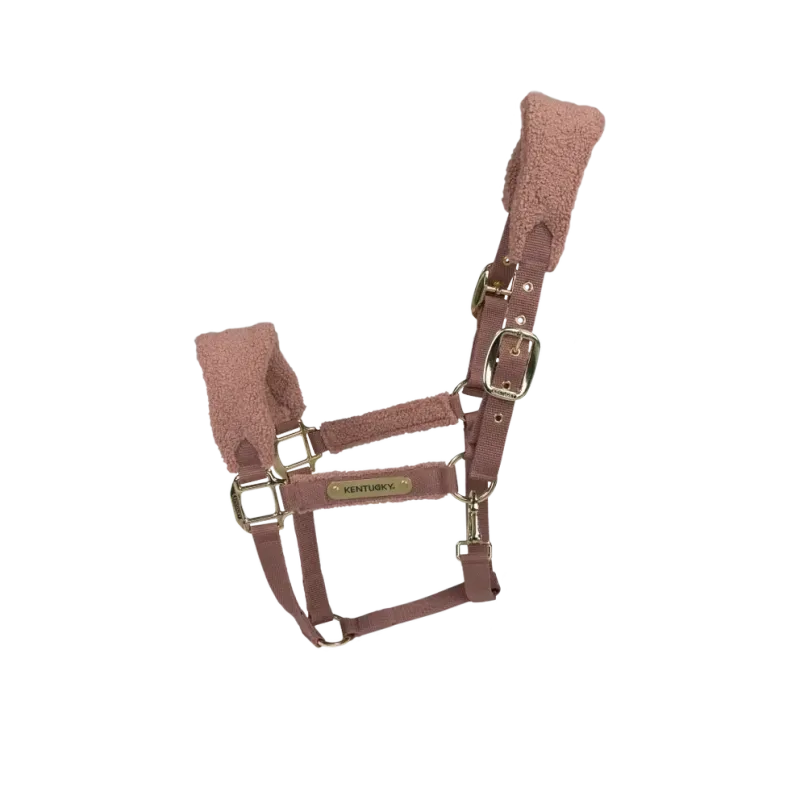 Licol Teddy Fleece vieux rose by KENTUCKY