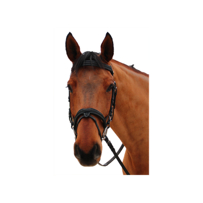 Bridon Mylord by CANTER