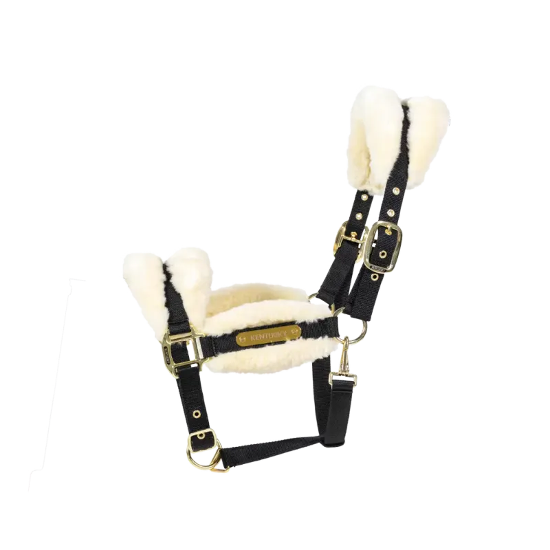 Licol nylon mouton Soft by KENTUCKY