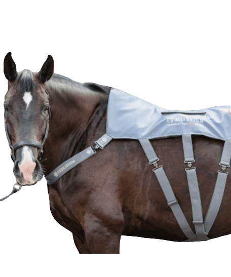 Tapis de Massage chauffant by Equilibrium