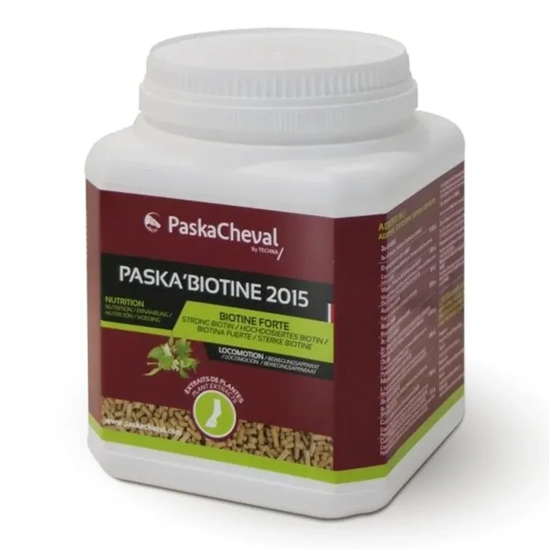 Paskabiotine 2015 by PASKACHEVAL