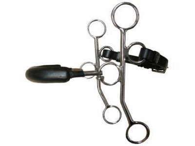 Hackamore by JUMP&#39;IN