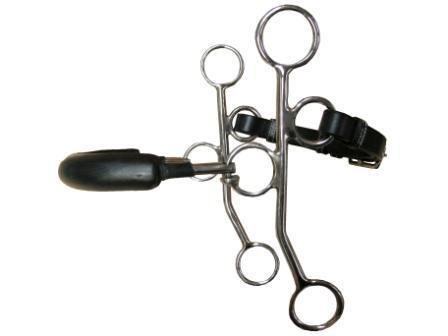 Hackamore by JUMP'IN