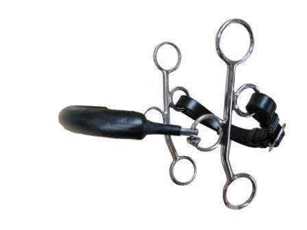 Hackamore petites branches by JUMP'IN