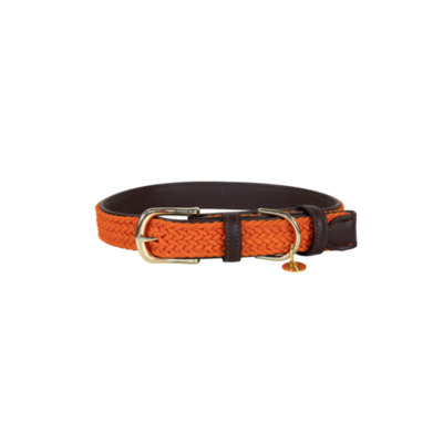 Collier de Chien Nylon Tresse by KENTUCKY