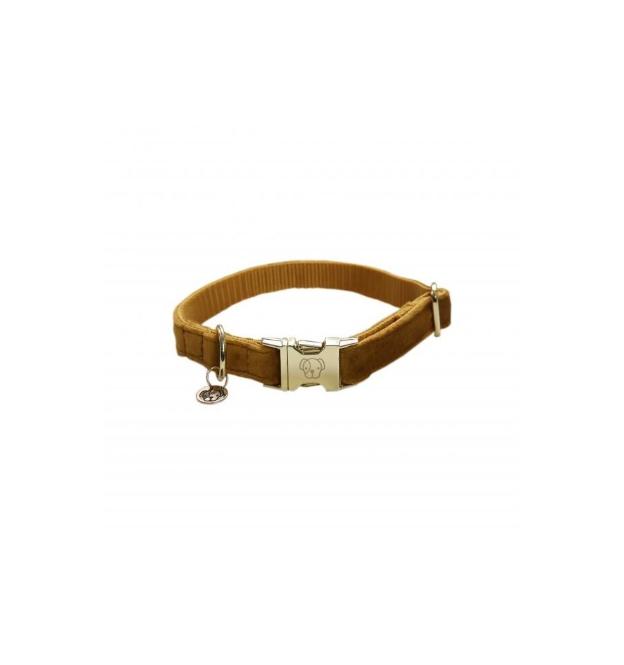 Collier chien Velvet by KENTUCKY
