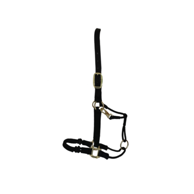 Licol de control by KENTUCKY