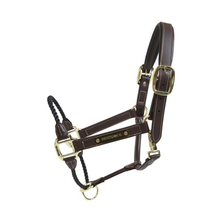 Licol en cuir Rope by KENTUCKY