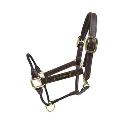 Licol en cuir Rope by KENTUCKY