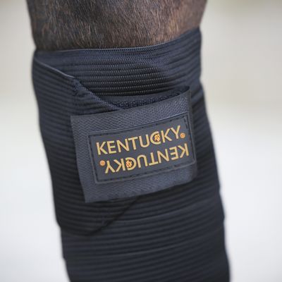 Bande de polo &amp; elastique by KENTUCKY