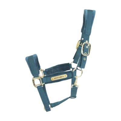 Licol Velvet By KENTUCKY