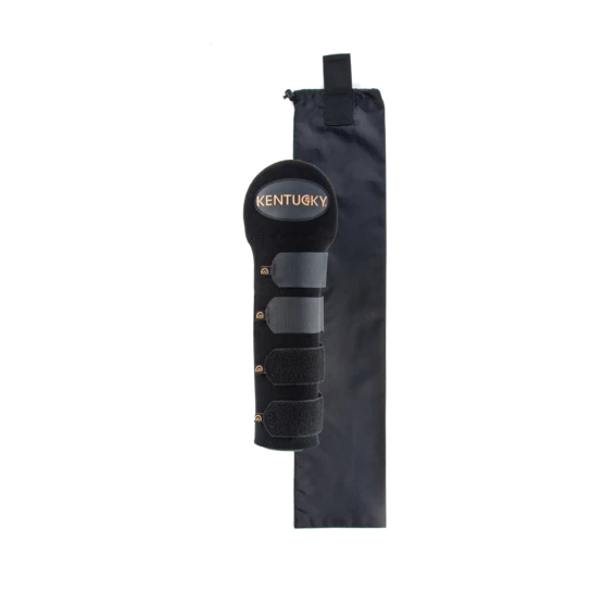 Protege queue by KENTUCKY