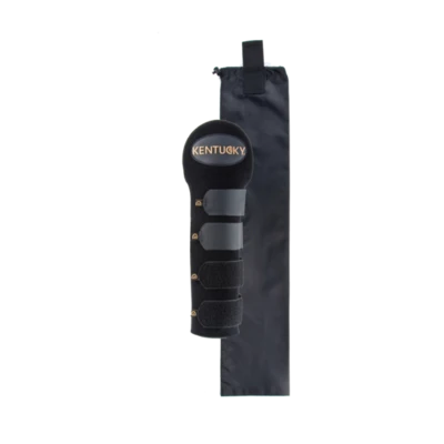 Protege queue by KENTUCKY