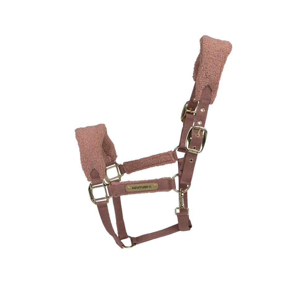 Licol Teddy Fleece vieux rose by KENTUCKY