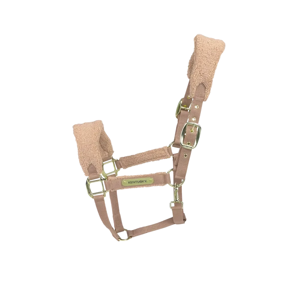 Licol Teddy Fleece beige by KENTUCKY