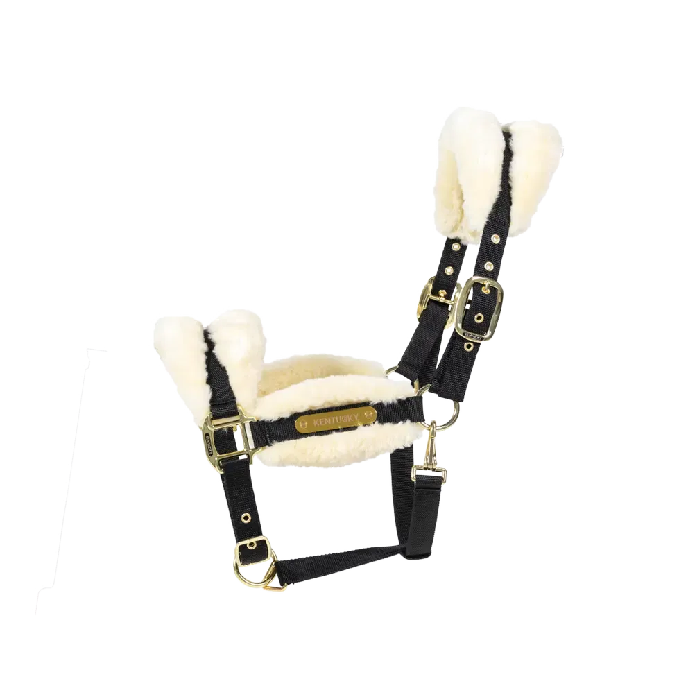 Licol nylon mouton Soft by KENTUCKY